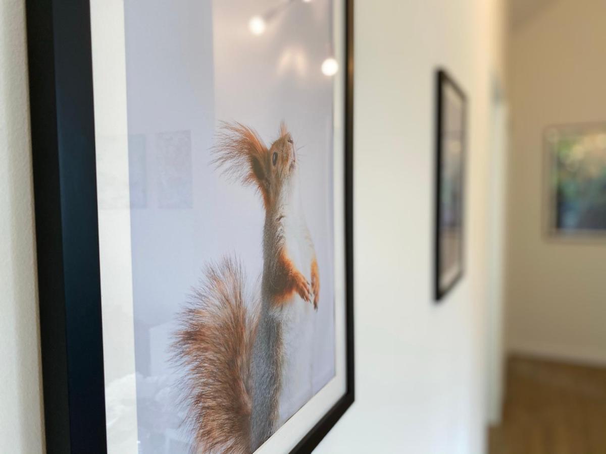 Ferienwohnung Koehler Bispingen Exteriér fotografie