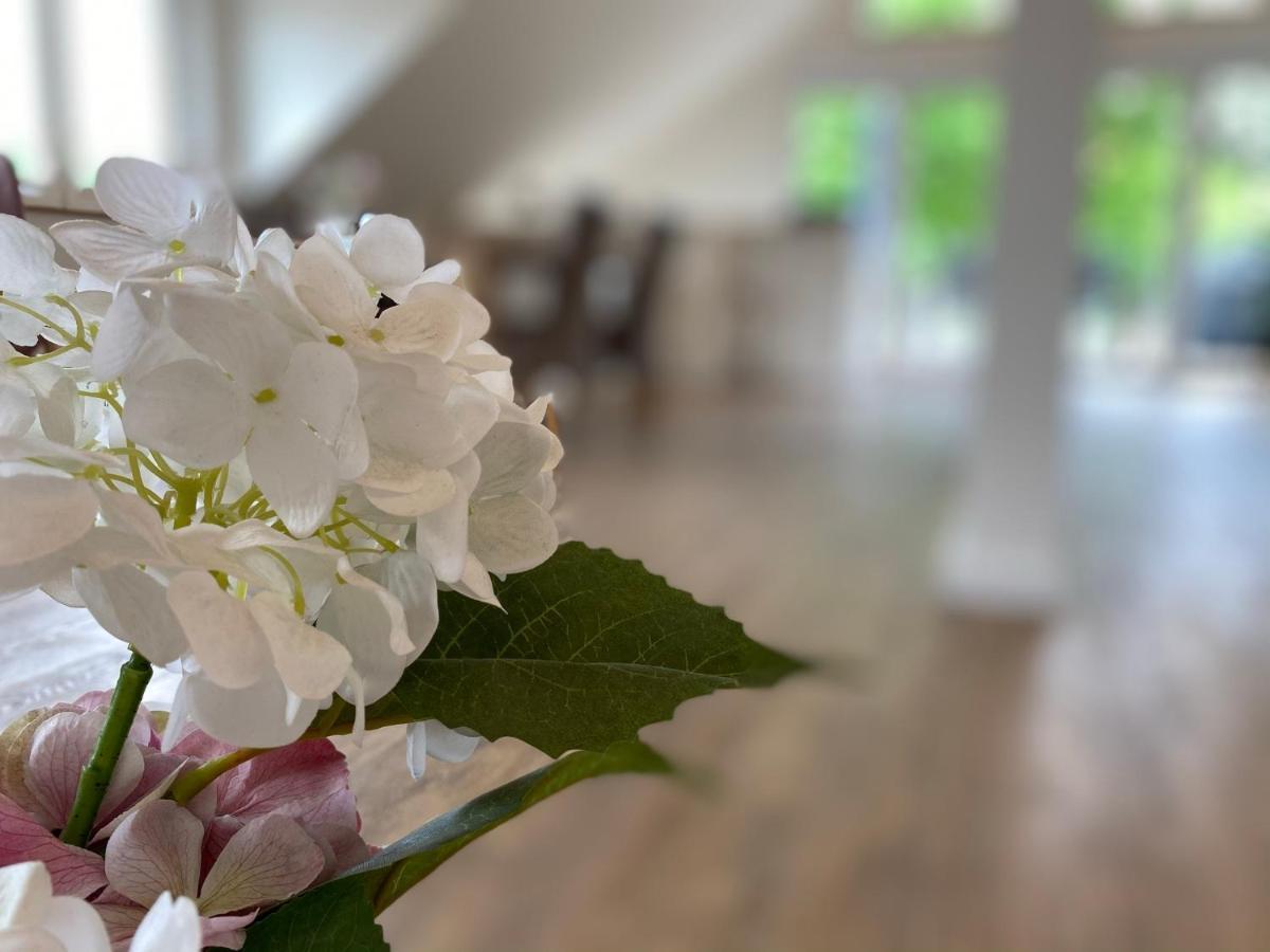 Ferienwohnung Koehler Bispingen Exteriér fotografie